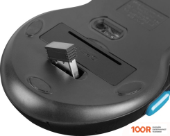 Мышь Fury STALKER (175912)