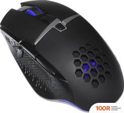 Мышь ExeGate GML-14 (175888)