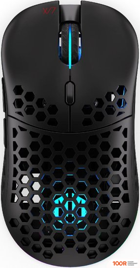 Мышь Endorfy LIX WIRELESS (175859)