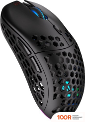 Мышь Endorfy LIX WIRELESS (175859)