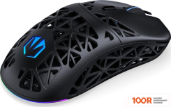 Мышь Endorfy LIV PLUS WIRELESS (175852)