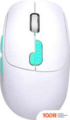 Мышь Defender NITTA MM-307 (175734)