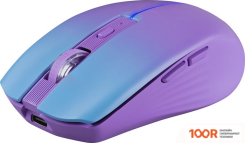 Мышь Defender MYSTERY MM-301 (175732)