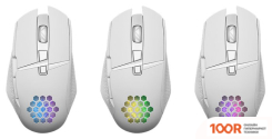 Мышь Defender GLORY GM-514 (БЕЛЫЙ) (175713)
