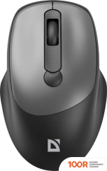 Мышь Defender FEAM MM-296 (ЧЕРНЫЙ/СЕРЫЙ) (175704)