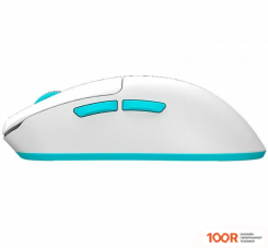 Мышь Dark Project X VGN F1 PRO MAX (175658)