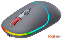 Мышь Canyon MW-22 (ТЕМНО-СЕРЫЙ) (175515)