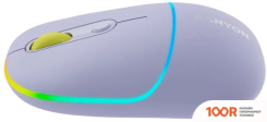 Мышь Canyon MW-22 (СИРЕНЕВЫЙ) (175514)