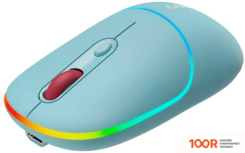 Мышь Canyon MW-22 (БИРЮЗОВЫЙ) (175512)