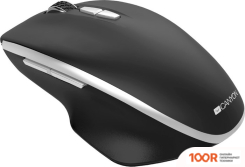 Мышь Canyon MW-21 (ЧЕРНЫЙ) (175509)