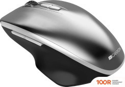 Мышь Canyon MW-21 (СЕРЫЙ) (175507)