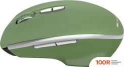 Мышь Canyon MW-21 (ЗЕЛЕНЫЙ) (175505)
