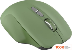 Мышь Canyon MW-21 (ЗЕЛЕНЫЙ) (175505)