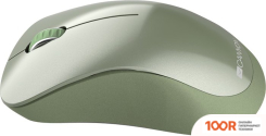 Мышь Canyon MW-11 (ЗЕЛЕНЫЙ) (175492)