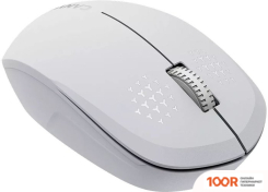 Мышь Canyon MW-04 (БЕЛЫЙ) (175487)