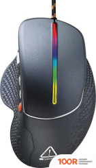 Мышь Canyon CND-SGM12RGB (175462)