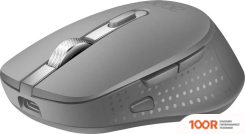 Мышь Acer OMR310 (ТЕМНО-СЕРЫЙ) (175260)