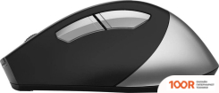 Мышь A4Tech FSTYLER FG35S (ЧЕРНЫЙ/СЕРЕБРИСТЫЙ) (175139)