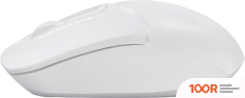 Мышь A4Tech FSTYLER FG12 (БЕЛЫЙ) (175090)