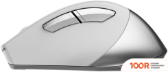 Мышь A4Tech FSTYLER FB35S (БЕЛЫЙ/СЕРЫЙ) (175073)