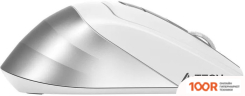 Мышь A4Tech FSTYLER FB35CS (БЕЛЫЙ/СЕРЕБРИСТЫЙ) (175070)