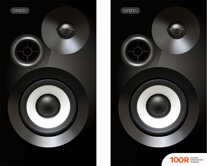 Акустика Ginzzu GM-313 (174648)