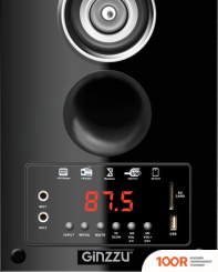 Акустика Ginzzu GM-302 (174645)