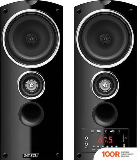 Акустика Ginzzu GM-301 (174644)