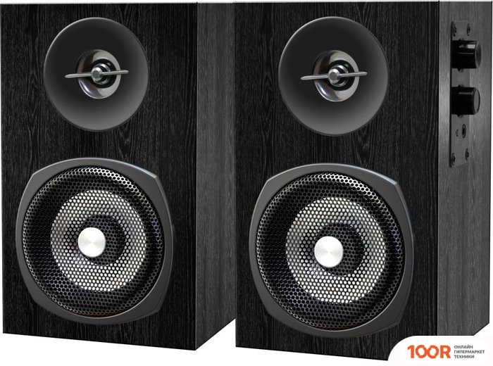 Акустика Ginzzu GM-103 (174642)