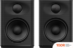 Акустика FiiO SP3 (ЧЕРНЫЙ) (174612)