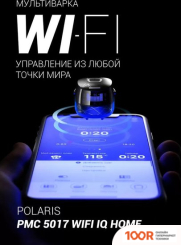 Мультиварка Polaris PMC 5017 WI-FI IQ HOME (СЕРЕБРИСТЫЙ) (174259)