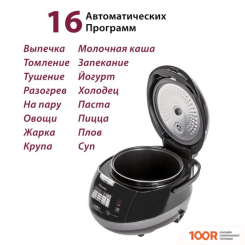 Мультиварка Pioneer MC505 (174237)