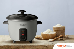 Мультиварка Concept RE1010 (174033)