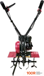 Weima WM 600/550 (173593)