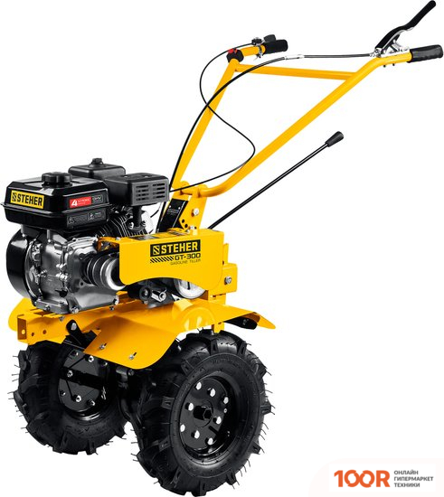 Steher GT-300 (173568)