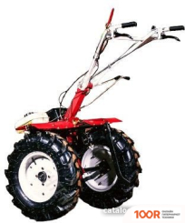 Shtenli 1900P (173398)