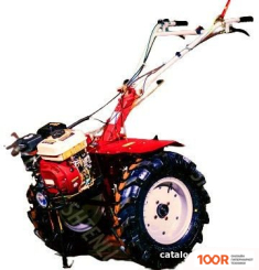 Shtenli 1900P (173398)