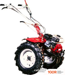 Shtenli 1900P (173398)