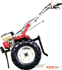 Shtenli 1900P (173398)