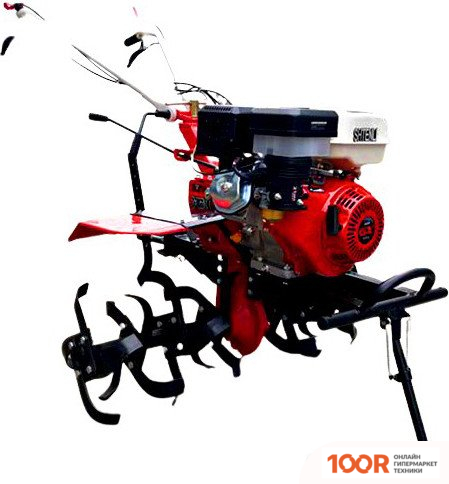 Shtenli 1000 (173395)