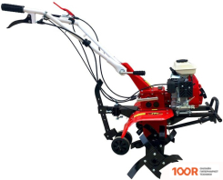 Shtenli 1000 (173395)