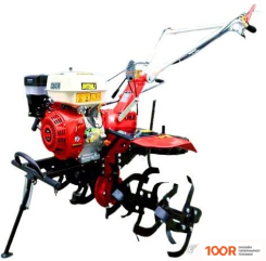 Shtenli 1000 (173395)