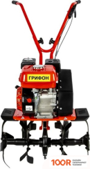 DDE ГРИФОН (173239)