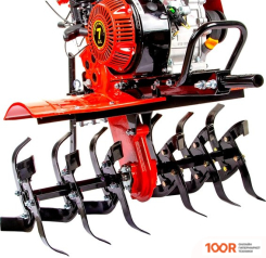 DDE БУЦЕФАЛ (173236)