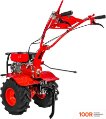 DDE АЛЕША П (173235)