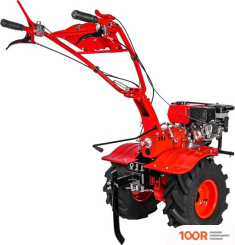 DDE АЛЕША П (173235)