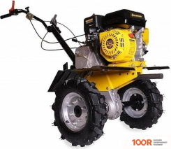 Champion BC8833 (173213)