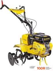 Champion BC8813 (173212)