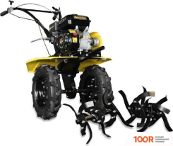 Champion BC8733 (173211)