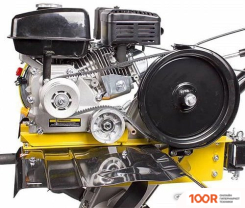 Champion BC8716 (173210)